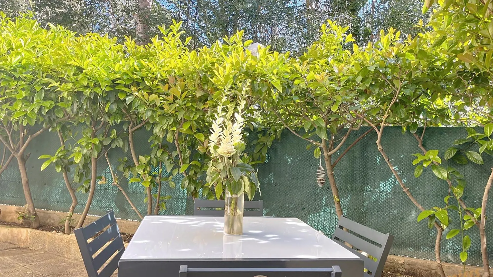 Appartement Lumineux En Rez De Jardin & Terrasse - Les Freres De La Loc' مارسيليا 0*,  فرنسا
